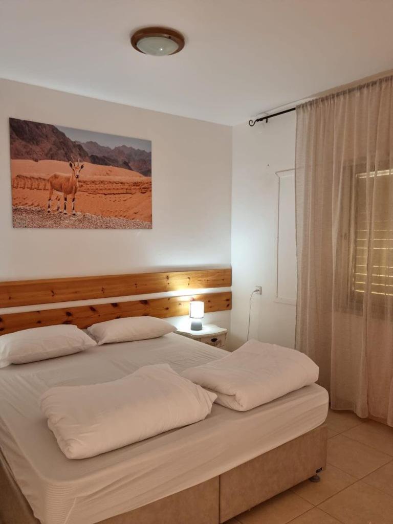 Elifaz Desert Experience Holiday エクステリア 写真